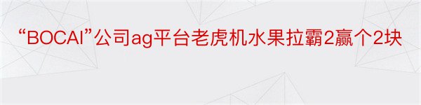 “BOCAI”公司ag平台老虎机水果拉霸2赢个2块